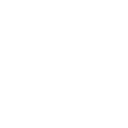 TogetherVsolve Logo
